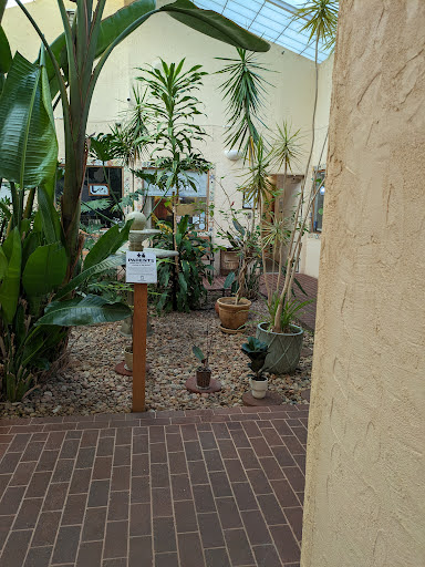 Nurturing Nature Massage - Thumbnail