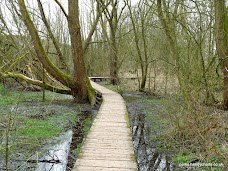 Fletcher Moss Park manchester