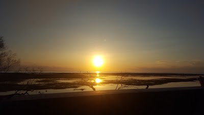 Photos of Trawangan Oasis