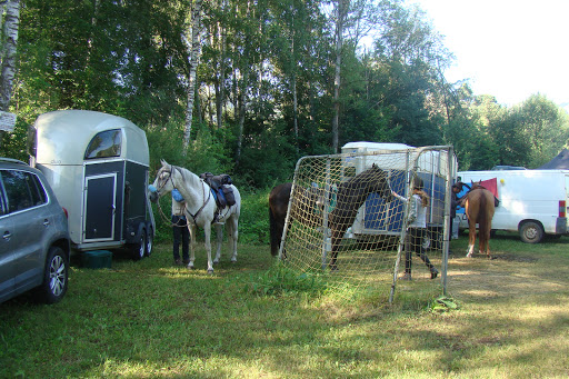 CAMPING DE LA BLANCHE Gallery - France