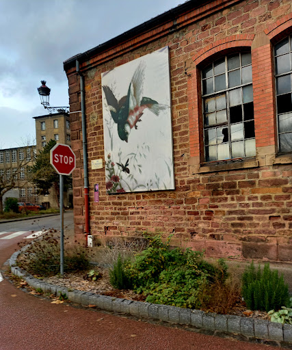 Photo d artiste - Thumbnail