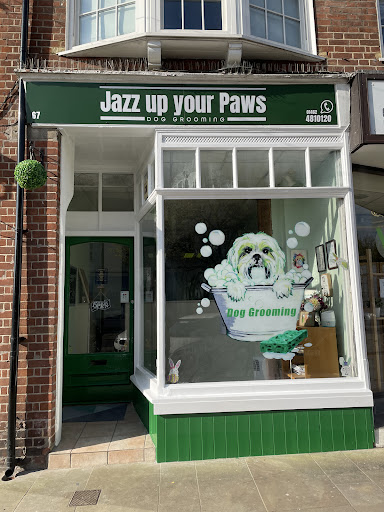 Jazz up your Paws