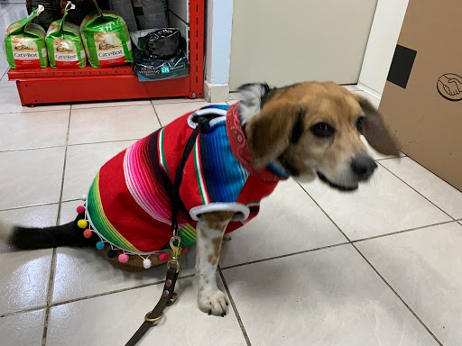 Clínica Veterinaria Coyoacán