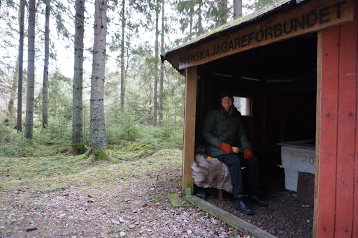 Skogsäventyret - Thumbnail