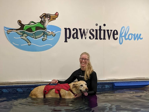Pawsitive Flow - Visual