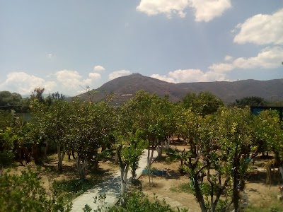 Photos of CENTRO COMERCIAL EL VALLE