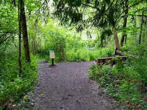 Lily Pond Viewpoint Logo