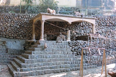 Photos of La Vanille Crocodile Park