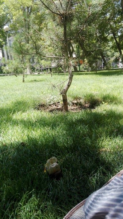 Photos of Mandana Park