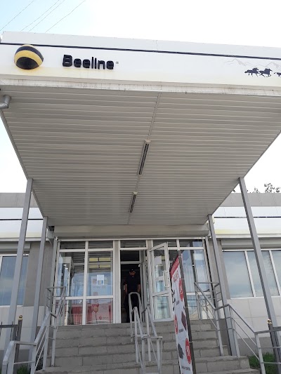 Photos of Beeline