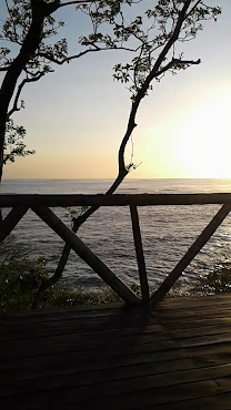 Tree Tops Bed and Breakfast by null