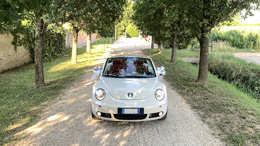 ioVisposo by FOTO BONETTI - Thumbnail