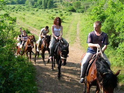 Photos of SADMOL TRAVEL