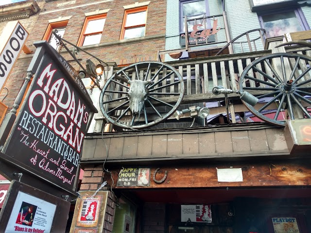 Madam's Organ