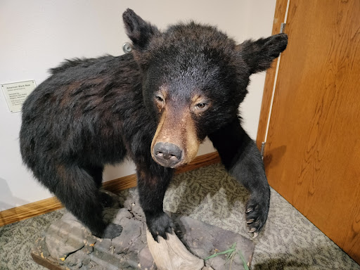 Hobbs State Park-Conservation Area Visitor Center - Thumbnail