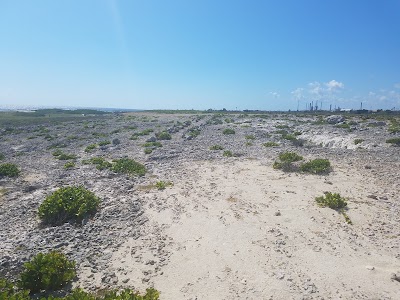 Photos of Pet Cementary