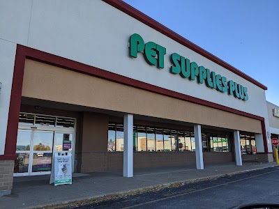 Pet Supplies Plus Davenport