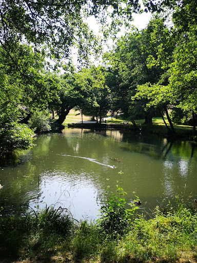 Schillerteich - Visual