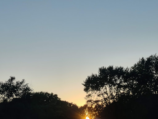 Root Road Park - Visual