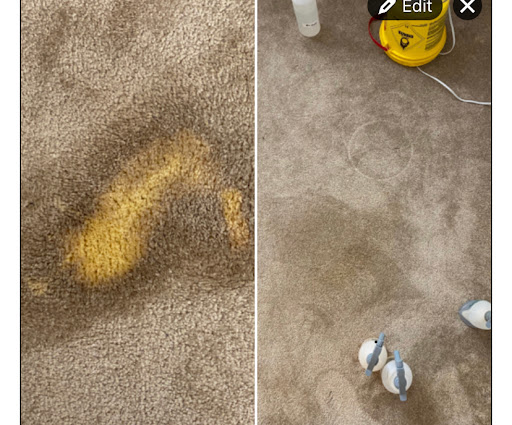 Carpet Magic - Visual
