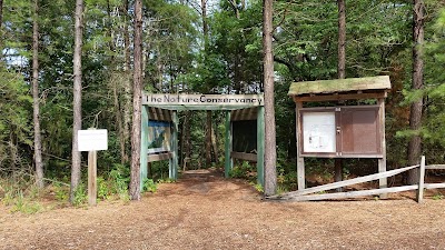 Photos of Maurice River Bluffs Preserve