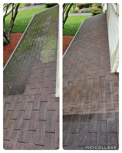 Handyman Sal's Services LLC