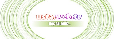 Usta Web Boyacı