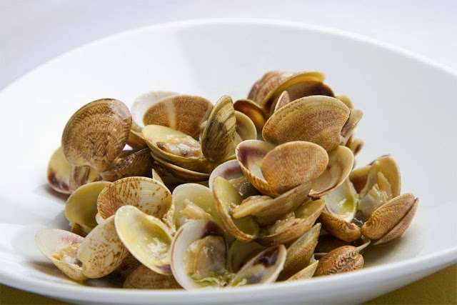 Osteria del Gran Fritto di Cesenatico