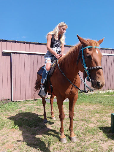 Frontier Stables - Visual
