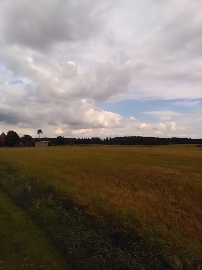 Photos of Vrads K&oslash;bmandshandel