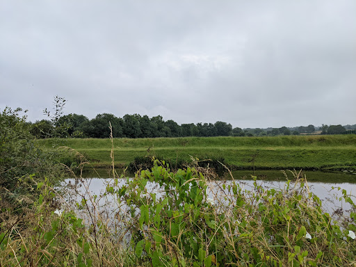 The Otter Channel - Thumbnail
