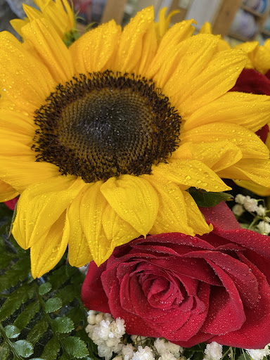 Bear's Garden Florist - Thumbnail