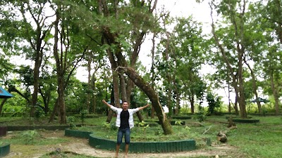 Photos of Hutan Pinus Samparona