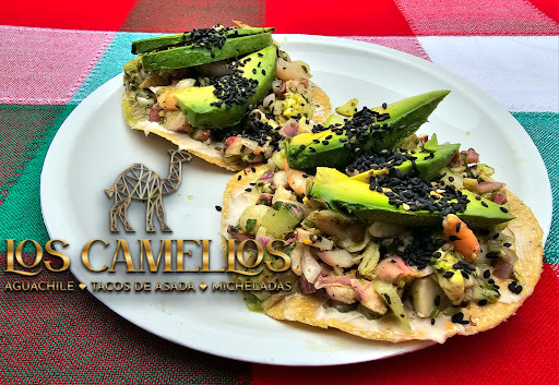 Los Camellos Aguchiles y Mas...