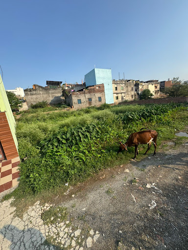 Gallery image 10