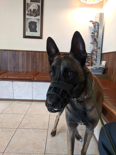 Orange-Tustin Animal Hospital - Thumbnail