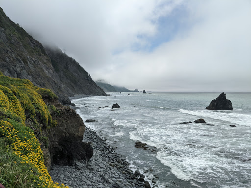Del Norte Coast Redwoods State Park - Thumbnail