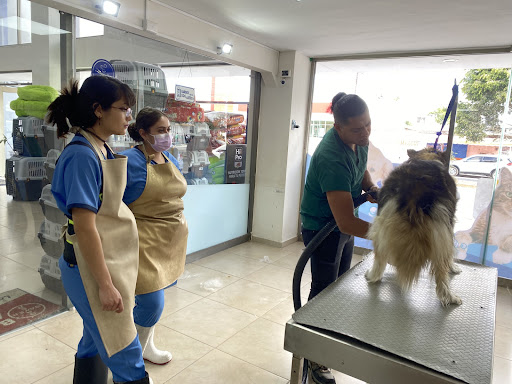 Veterinaria ALPOR