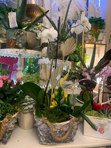 Dionizego Czachowskiego 44, 25-106 Kielce