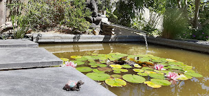Photo n°21 de L'effet bulle Bien-être & Massages à Quimper (Programme de bien-être)