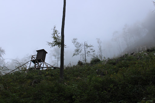 Falkensteinerweg - Visual