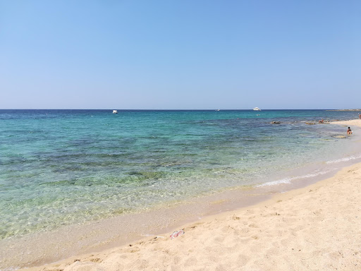 Spiaggia di Palude del Conte - Thumbnail
