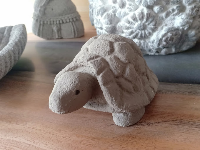 Tortoise for wealth