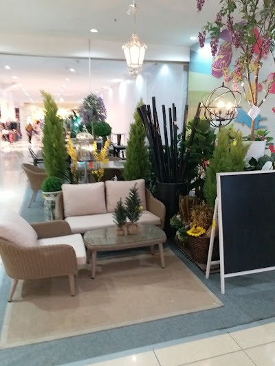 Ssf 1borneo Sabah 60 88 484 216 Malaysia