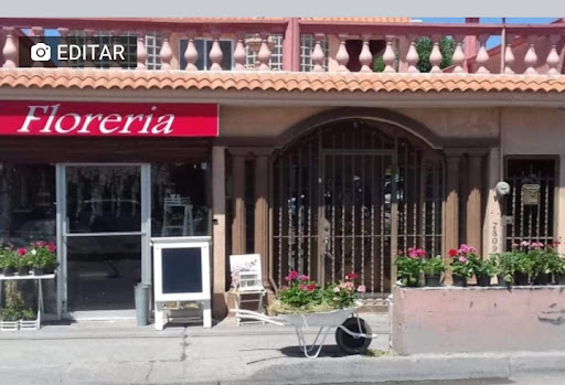 Floreria 24
