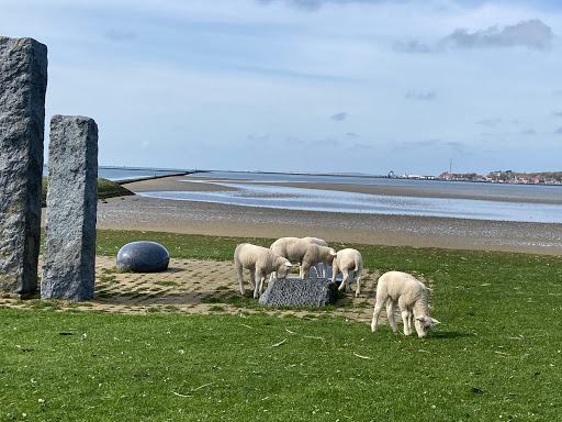 Uitzichtpunt West-Terschelling/ Beelden Park - Thumbnail