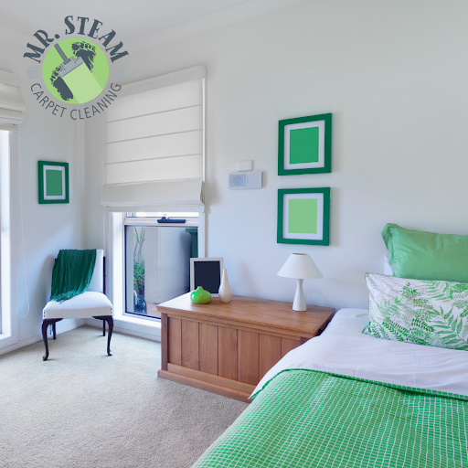 Mr Steam Carpet Cleaning - Thumbnail