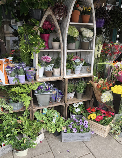 1st Choice Florist - Thumbnail