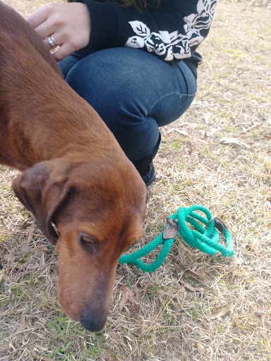 Currituck Animal Services and Control - Thumbnail