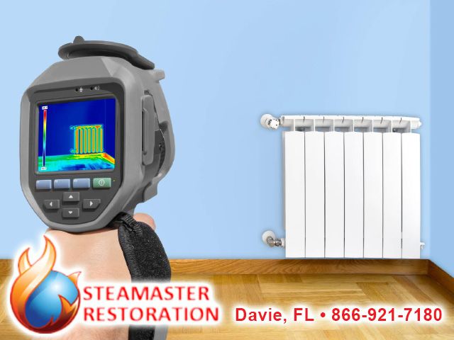 Steamaster Restoration LLC photo